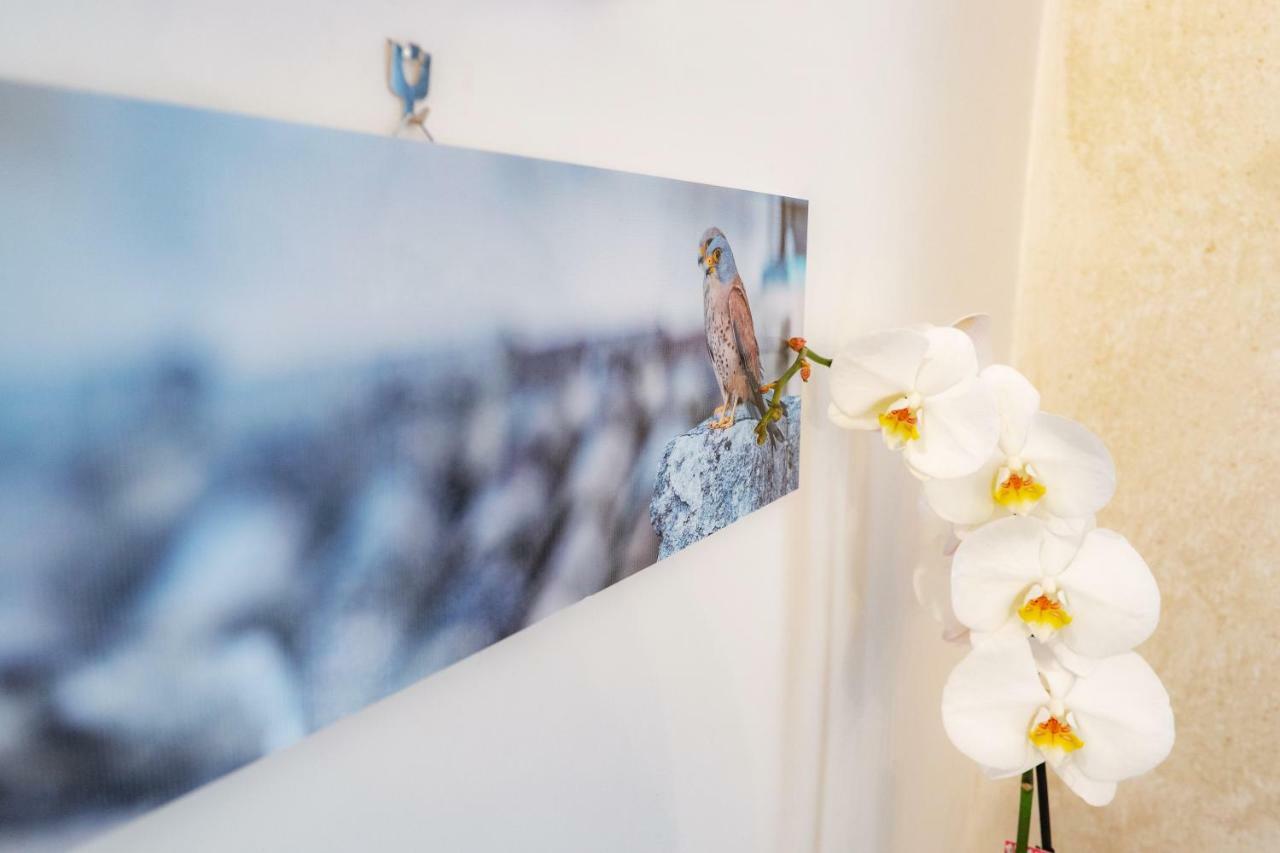Il Nido Del Grillaio & Appartament Holiday home Matera